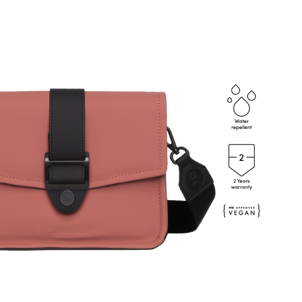 Blush - Image 5